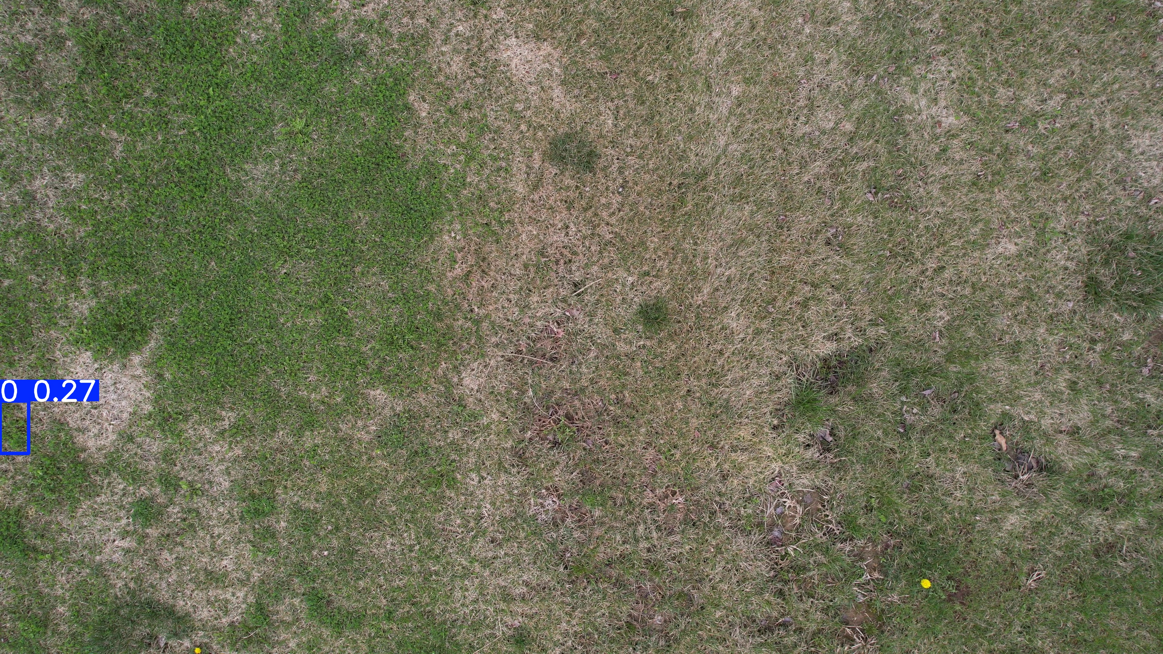 Annotated Image