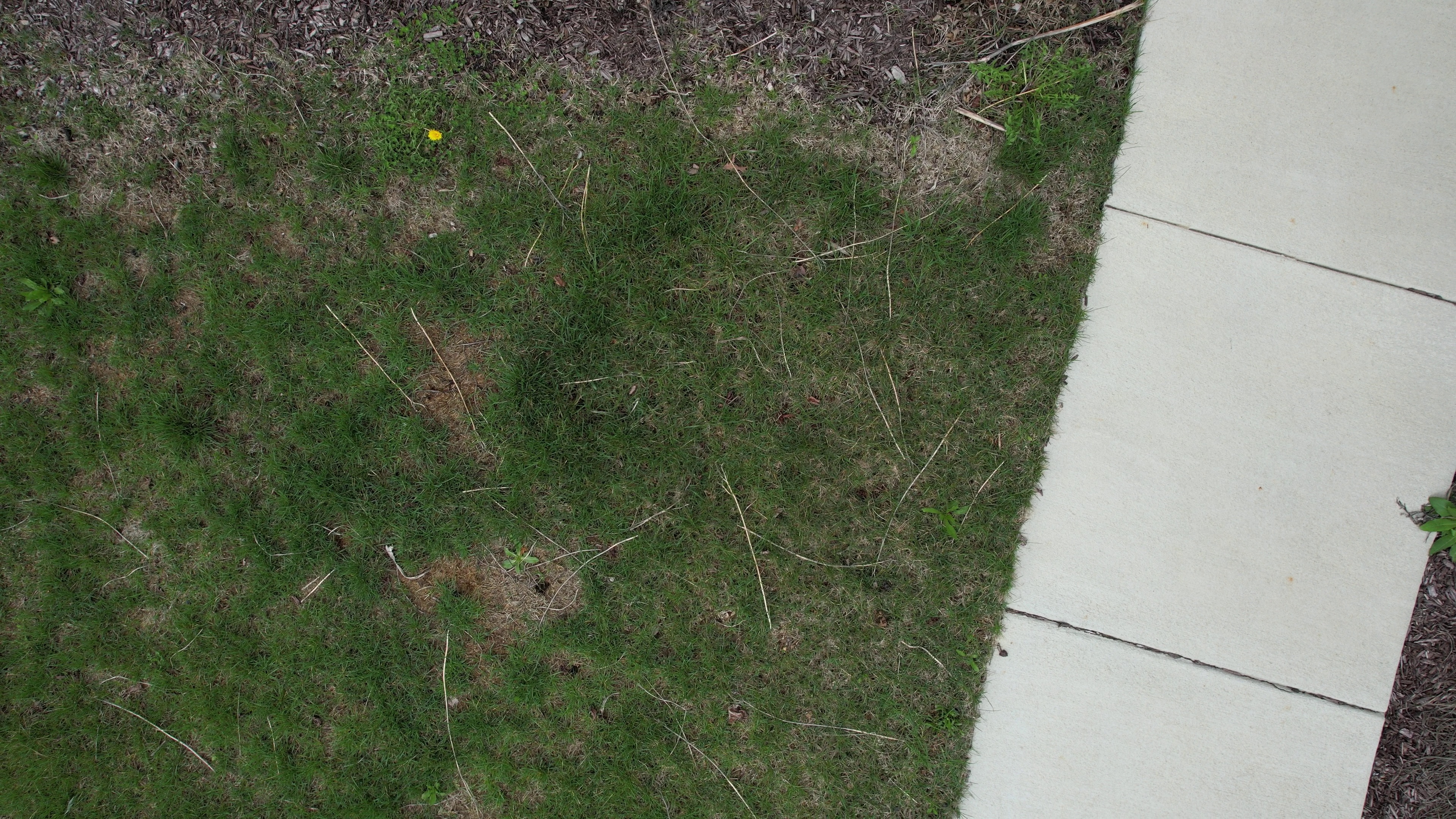 Annotated Image