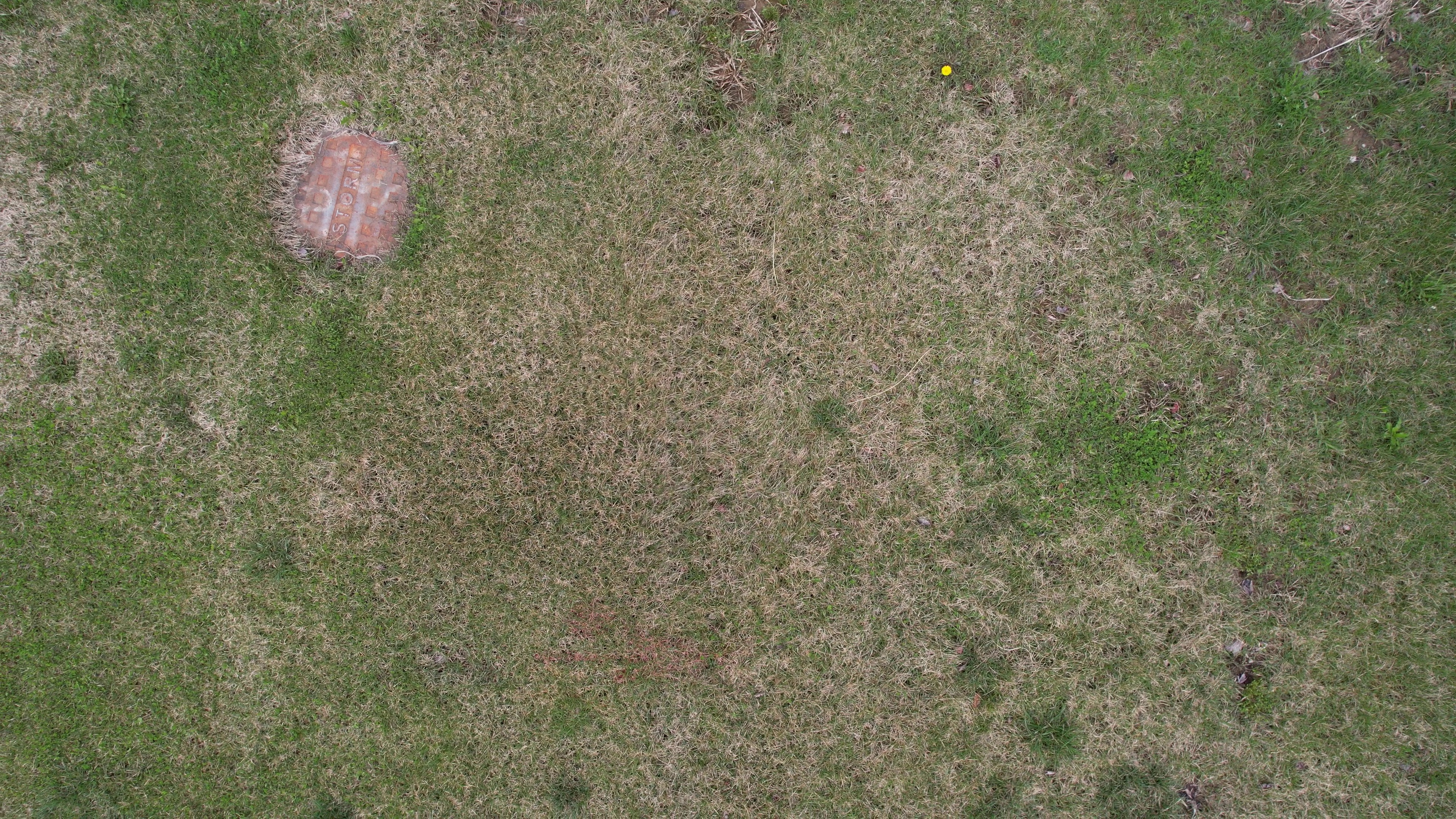 Annotated Image