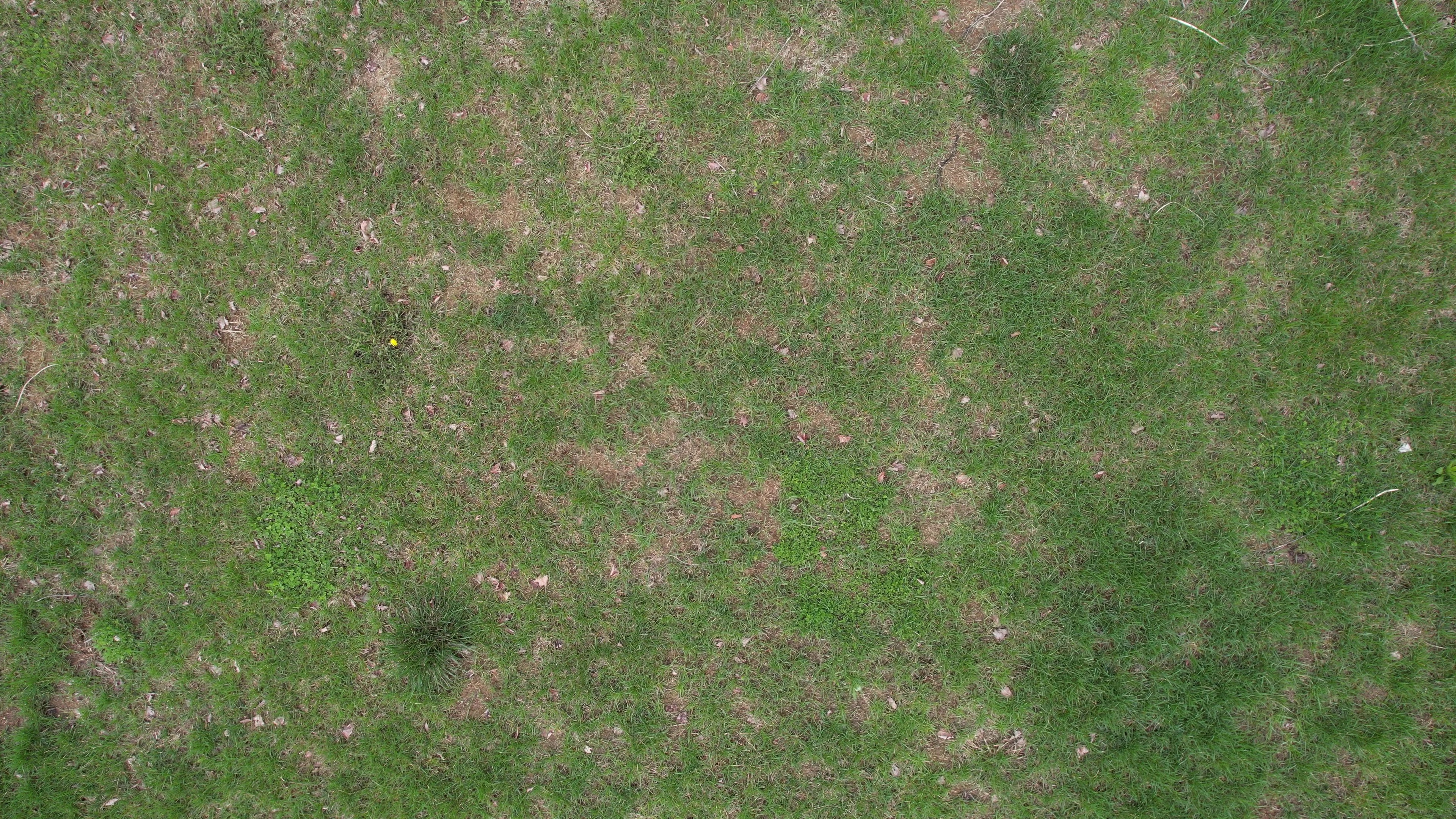 Annotated Image