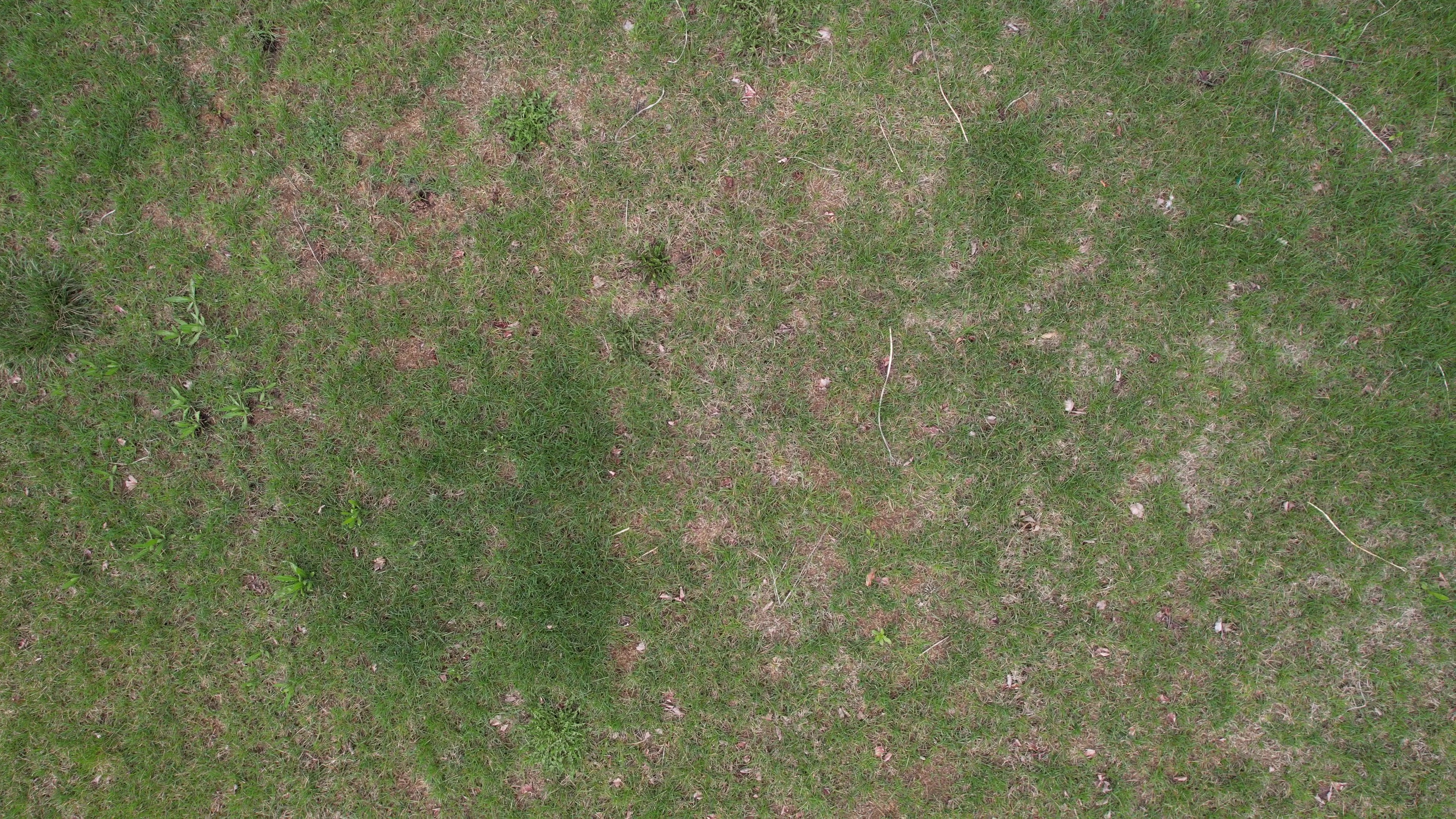 Annotated Image