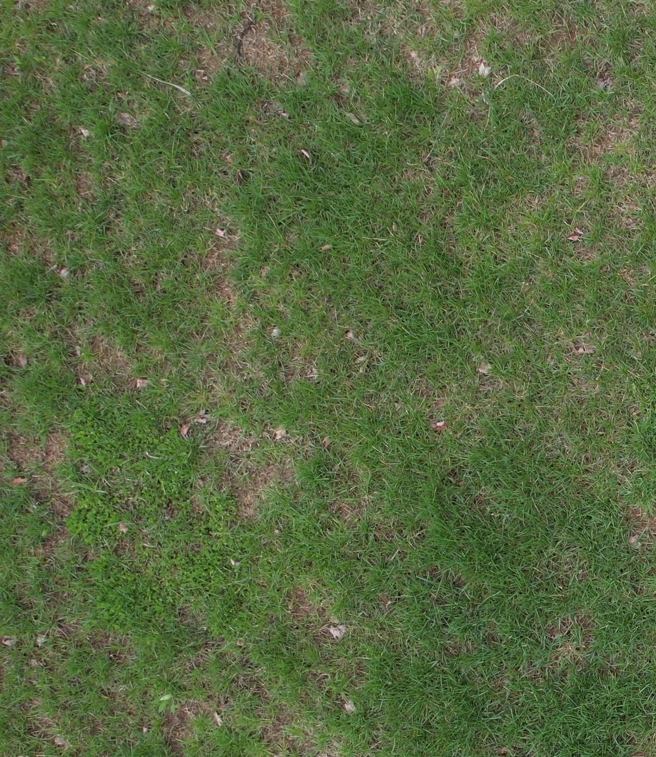 Annotated Image