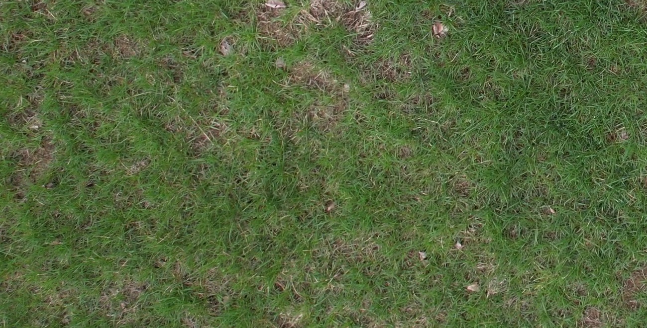 Annotated Image