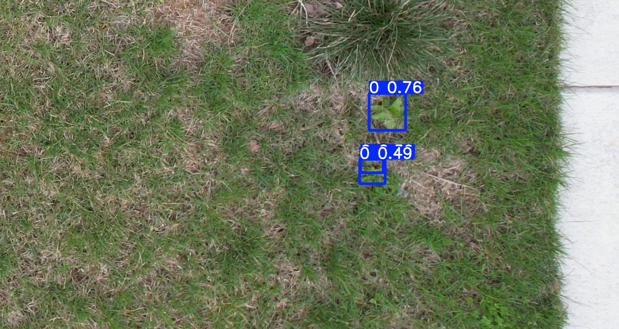 Annotated Image