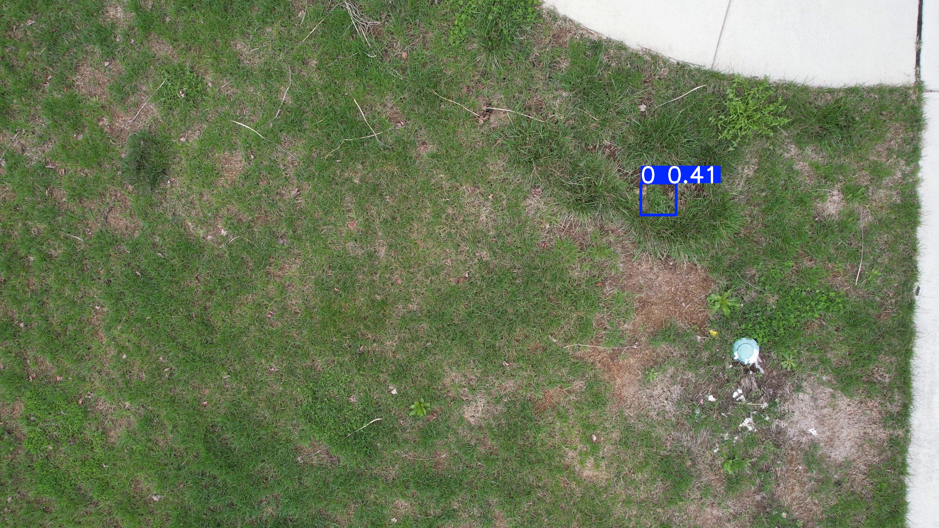 Annotated Image