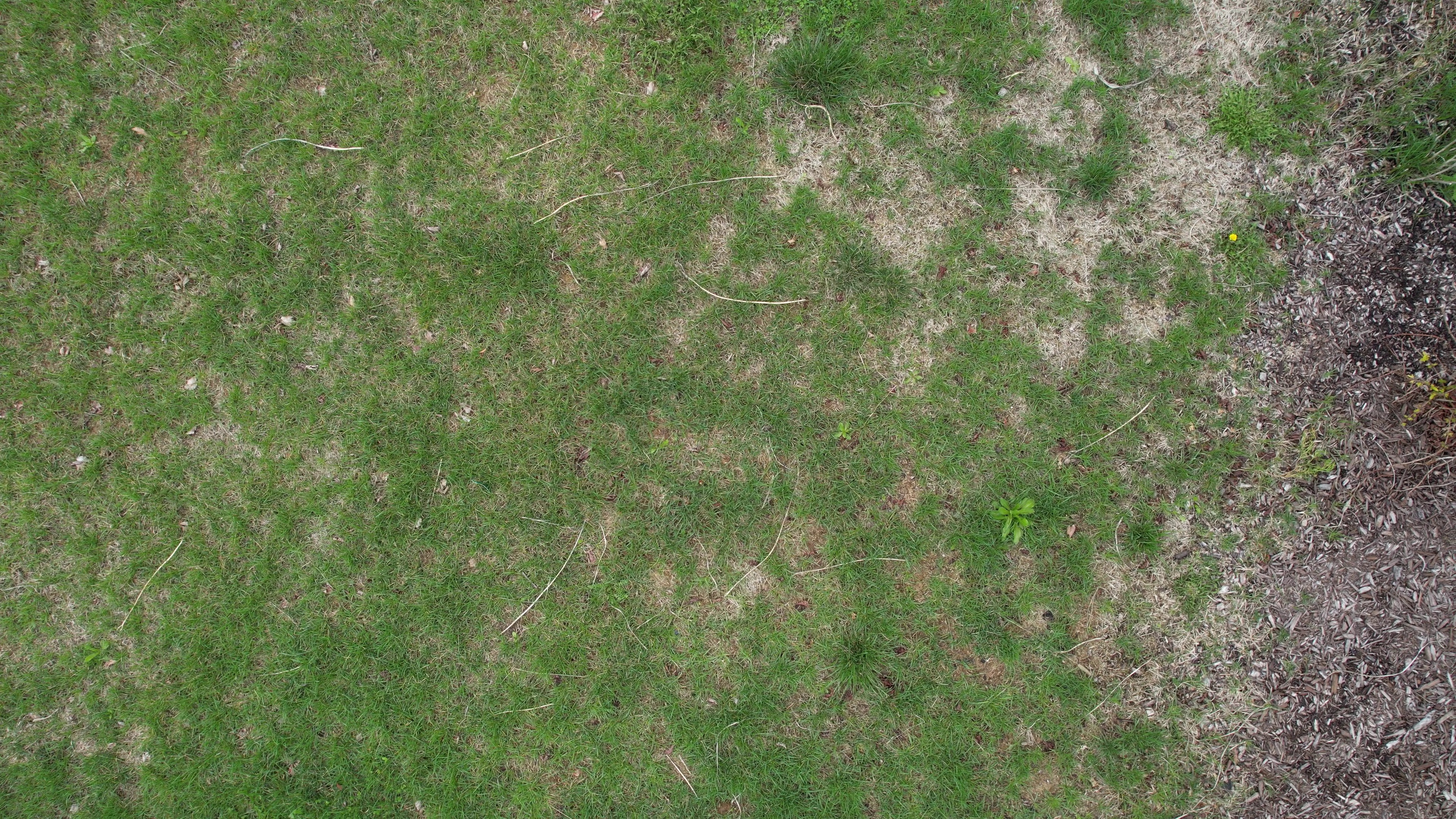 Annotated Image