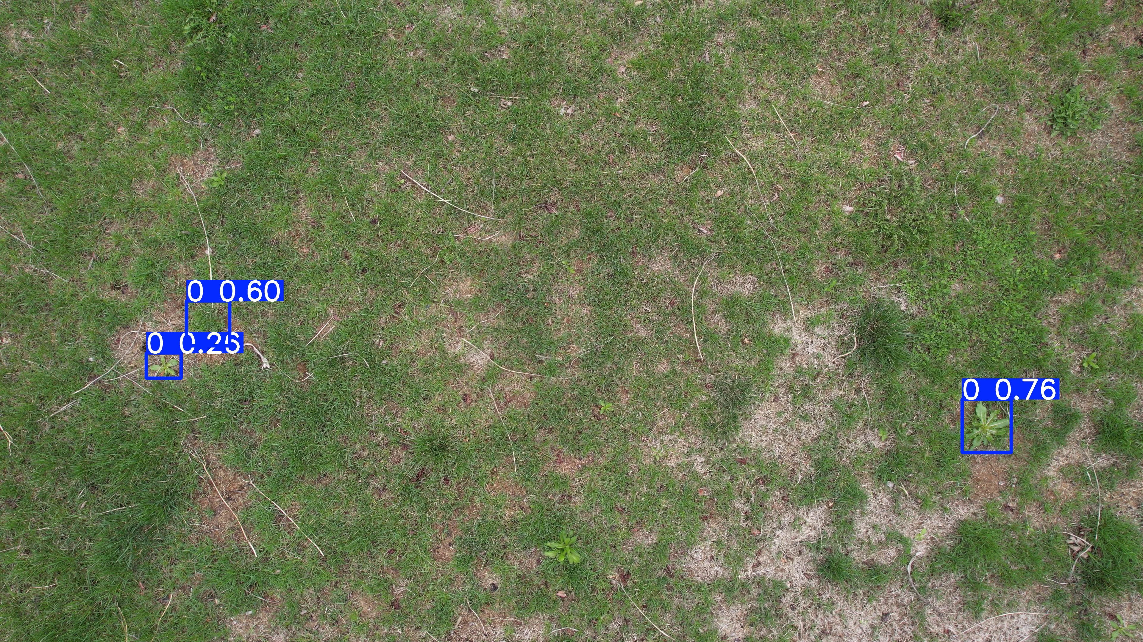 Annotated Image