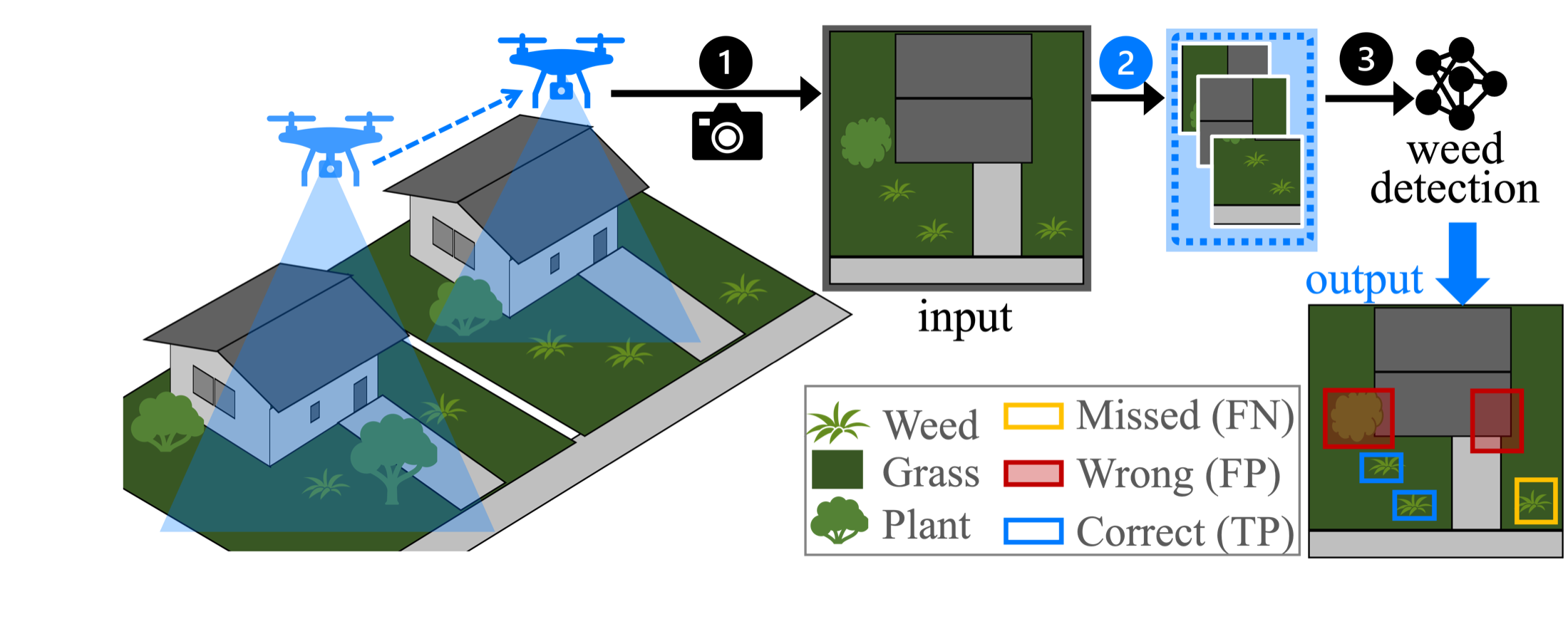 Diagram of drones collecting residential lawn images for aerial weed detection